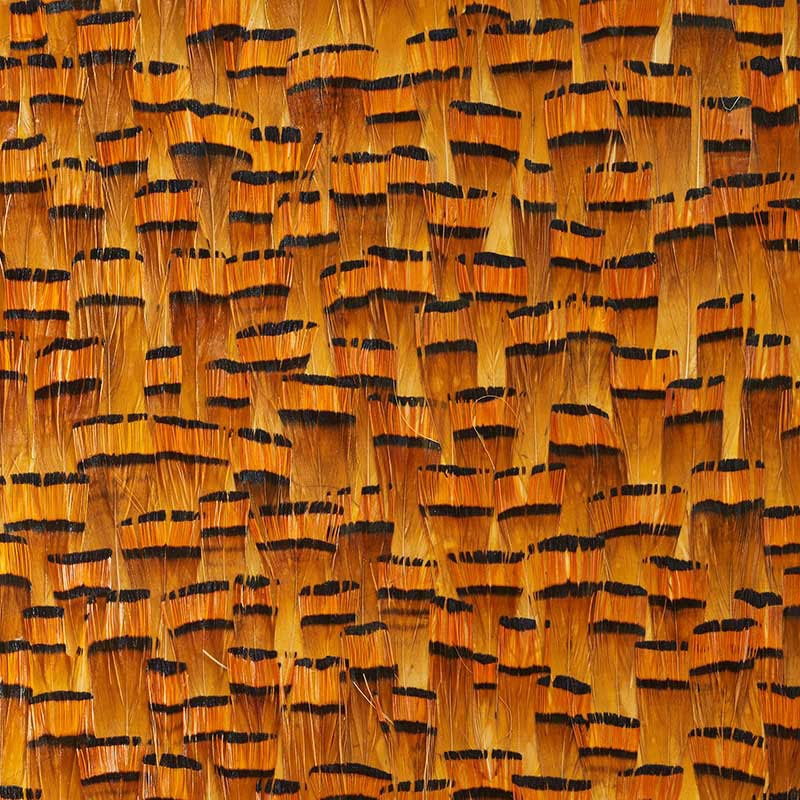 Bauxite wallpaper in goldenrod color - pattern number 5008400 - by Schumacher in the Plume collection
