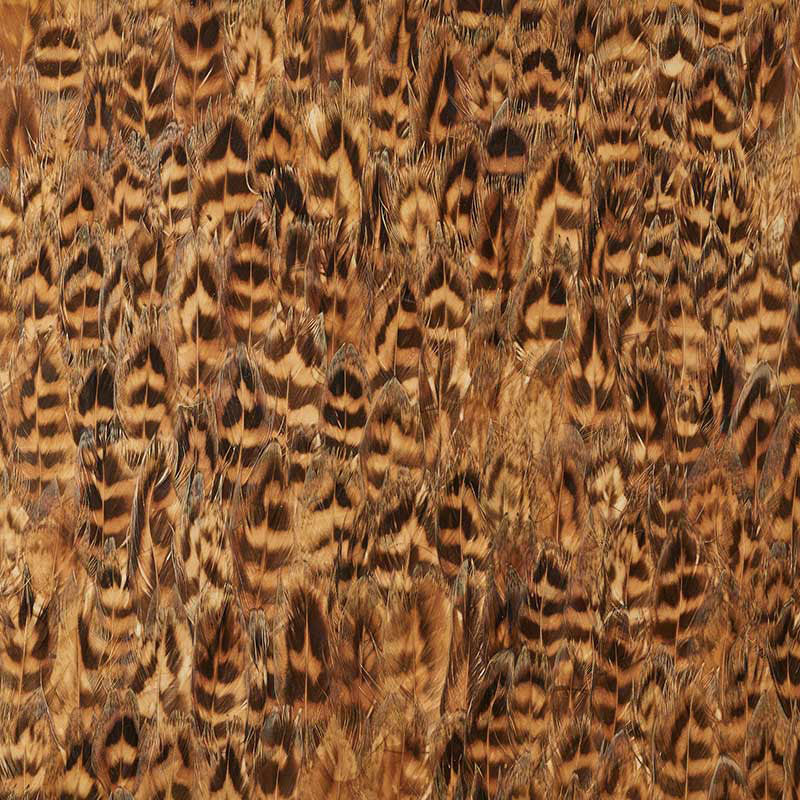 Umber wallpaper in daffod color - pattern number 5008403 - by Schumacher in the Plume collection