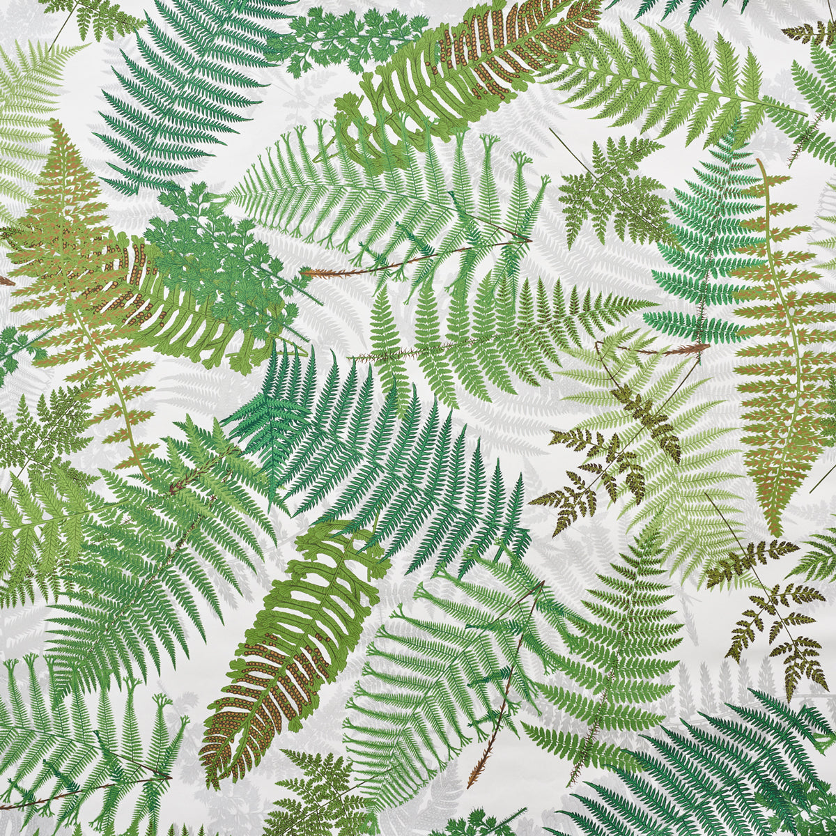 Fernarium wallpaper in ivory and leaf color - pattern number 5009190 - by Schumacher in the Clements Ribeiro collection
