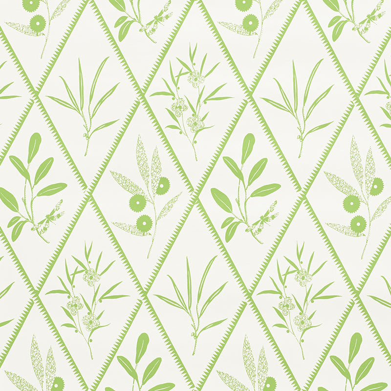 Endimione fabric in leaf color - pattern number 5009371 - by Schumacher in the Charlap Hyman and Herrero collection