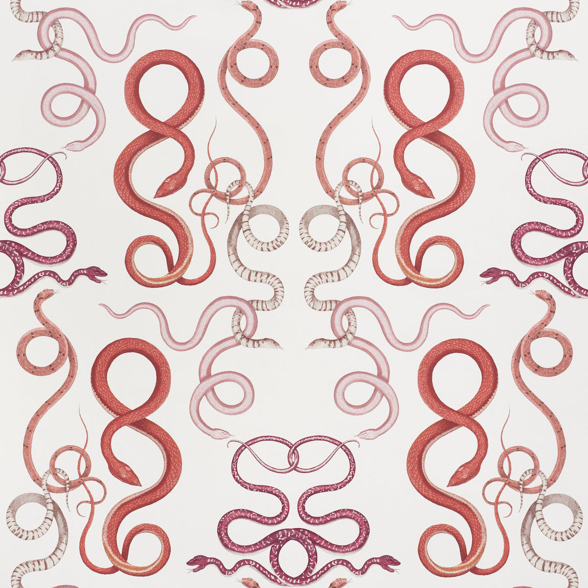 Giove fabric in ruby and garnet color - pattern number 5009461 - by Schumacher in the Charlap Hyman and Herrero collection