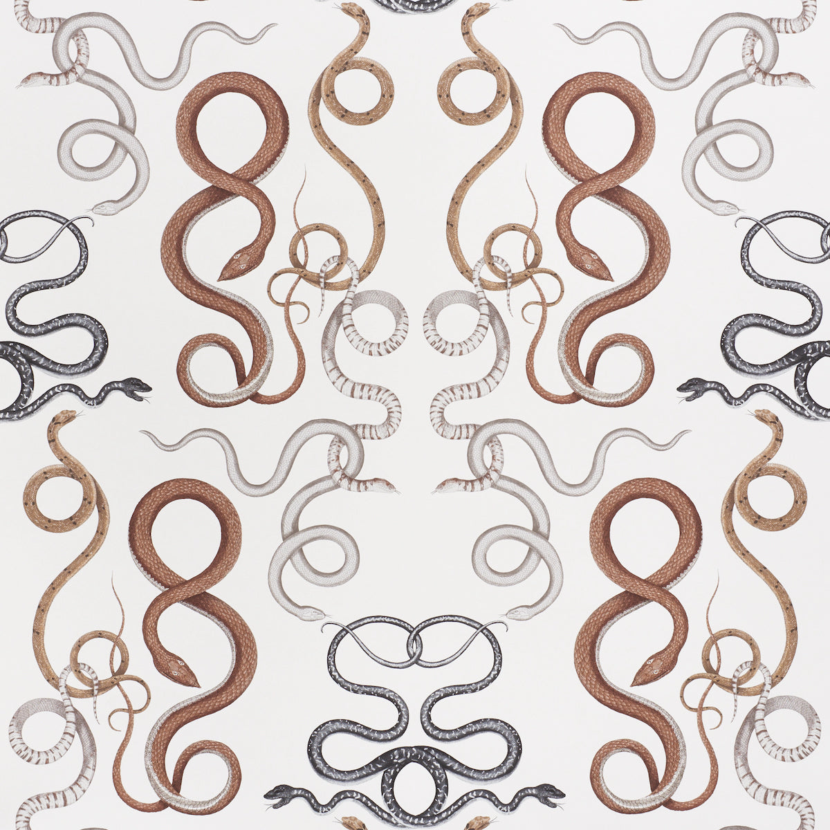 Giove fabric in agate and onyx color - pattern number 5009462 - by Schumacher in the Charlap Hyman and Herrero collection