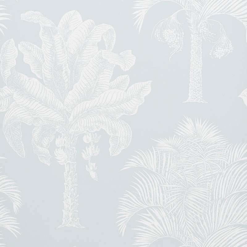 grand palm plant Grand Palms Wallpaper Color: Mineral