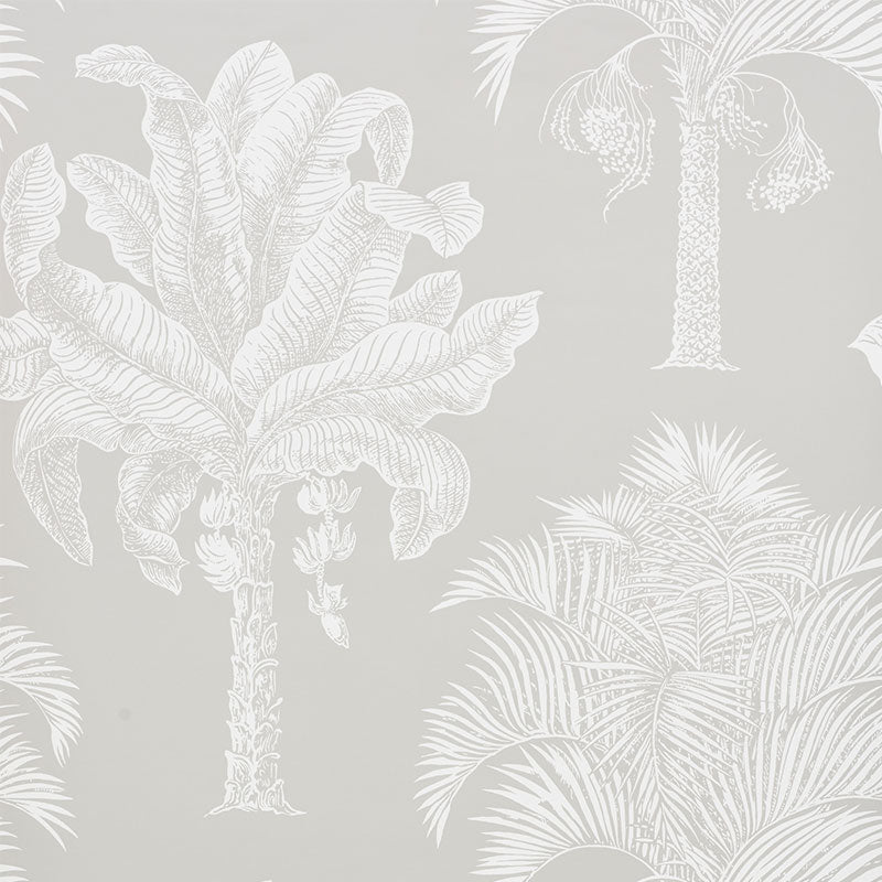 Grand Palms wallpaper in dove color - pattern number 5009622 - by Schumacher in the New Traditional collection