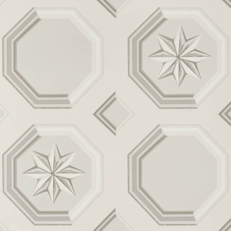 Augustus fabric in stone color - pattern number 5009890 - by Schumacher in the Trompe L Oeil collection