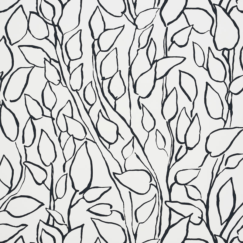 Solandra Vine wallpaper in black color - pattern number 5010071 - by Schumacher in the Freehand collection