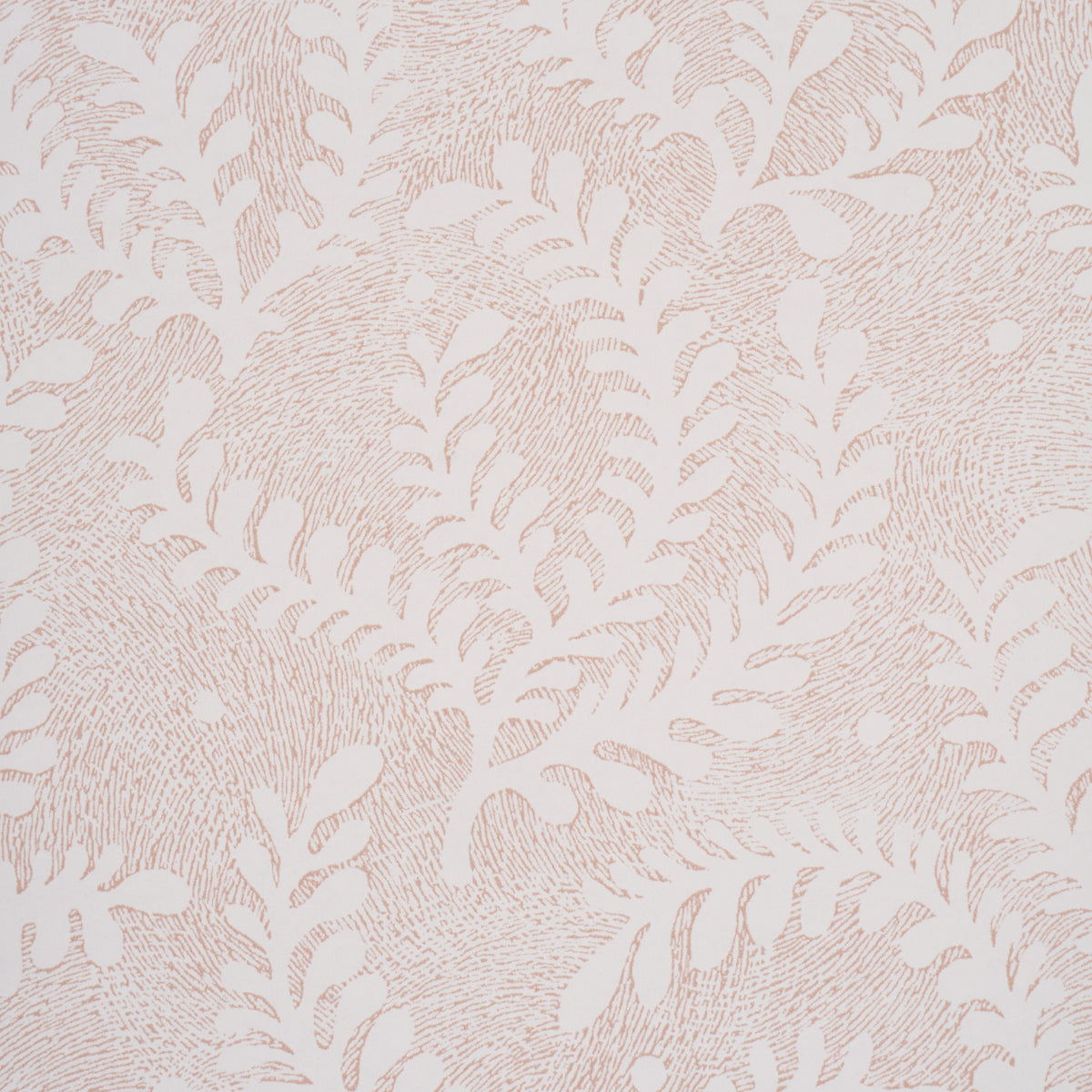 Etched Fern Wallpaper in blush color - pattern number 5010384 - by Schumacher in the Perennial Favorites collection