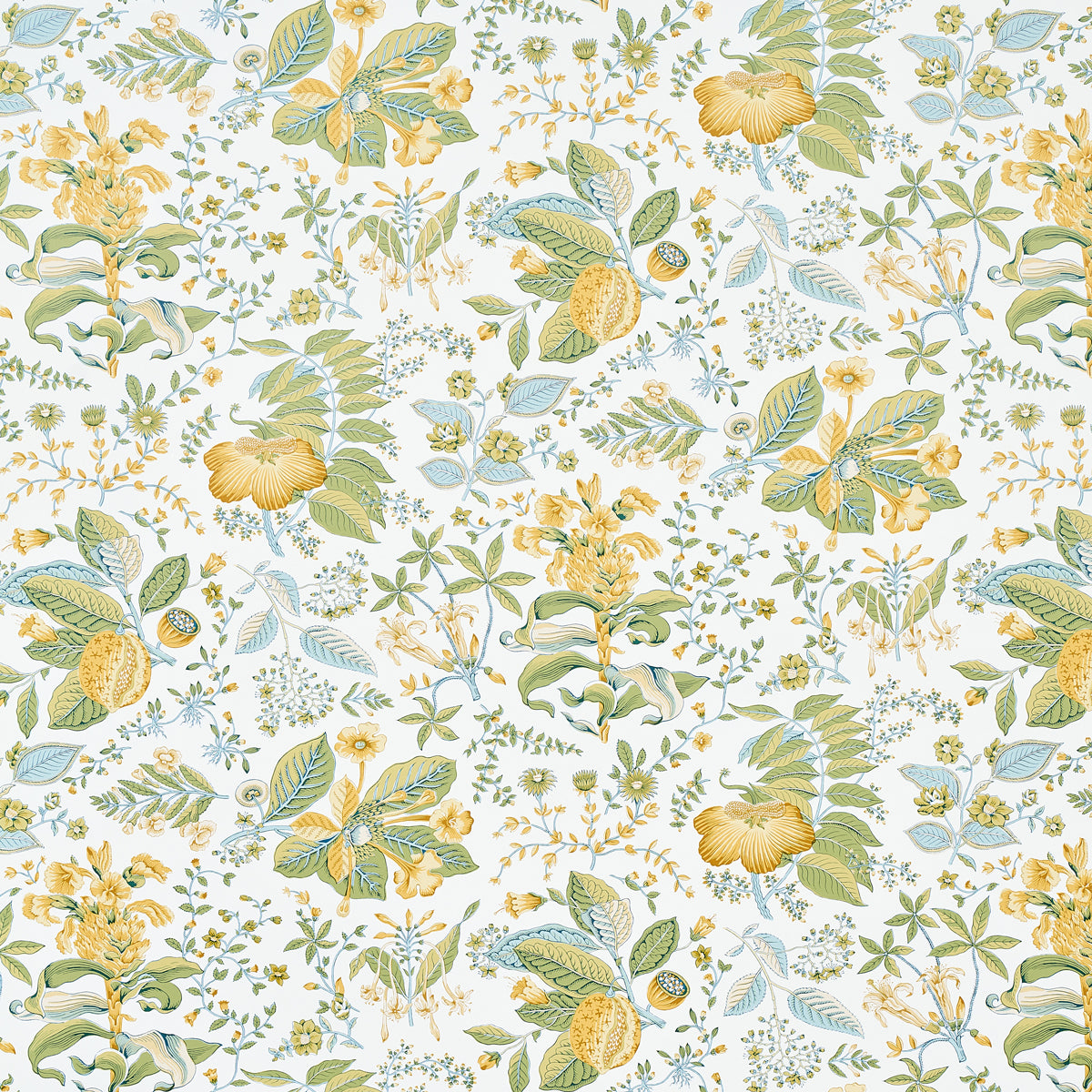 Pomegranate Botanical fabric in citron color - pattern number 5010442 - by Schumacher in the Schumacher Classics collection