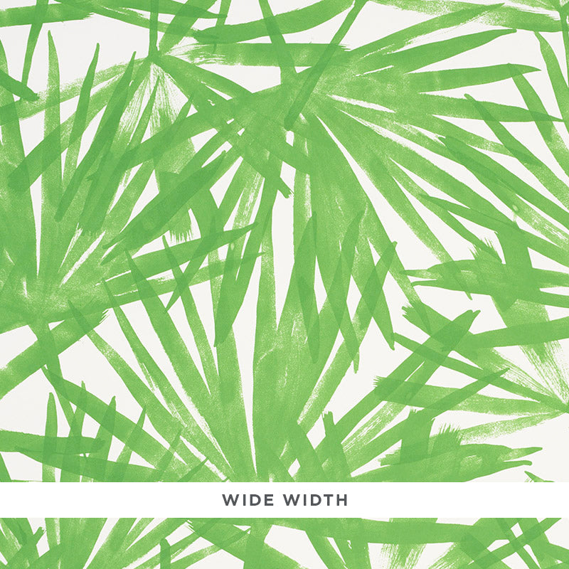 Sunlit Palm wallpaper in green color - pattern number 5010560 - by Schumacher in the Tropicana collection