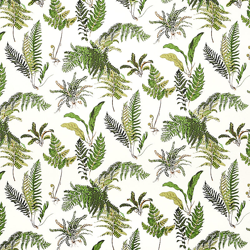 Les Fougeres wallpaper in document color - pattern number 5010660 - by Schumacher in the Signature Schumacher collection