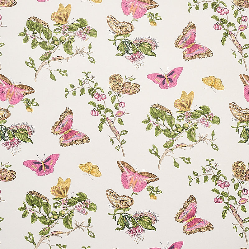 Baudin Butterfly fabric in blush color - pattern number 5010690 - by Schumacher in the Signature Schumacher collection