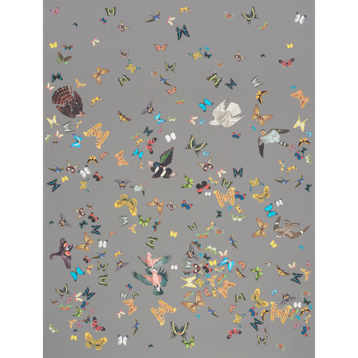 Queens Flight Panel Set wallpaper in grey color - pattern number 5010862 - by Schumacher in the Peg Norriss collection