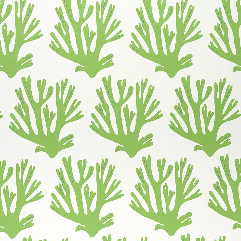 Coral fabric in green color - pattern number 5011200 - by Schumacher in the Molly Mahon Prints collection