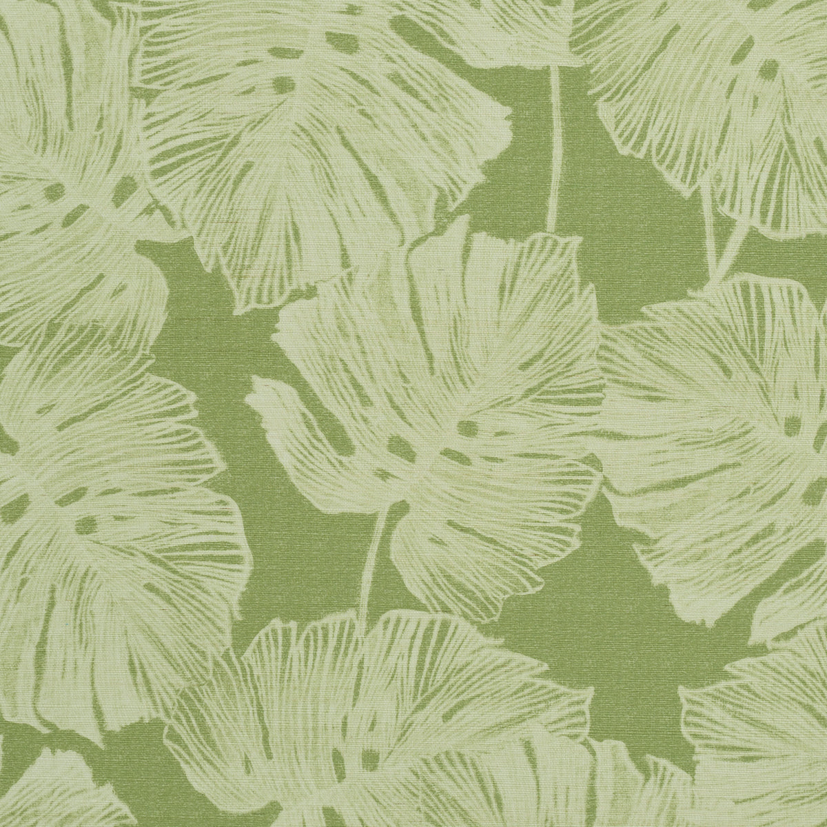 Del Coco Sisal fabric in leaf color - pattern number 5011640 - by Schumacher in the Perennial Favorites collection