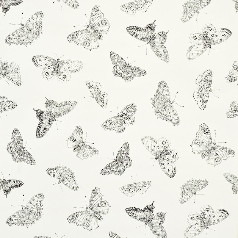 Burnell Butterfly wallpaper in ivory color - pattern number 5011740 - by Schumacher in the Misterioso collection