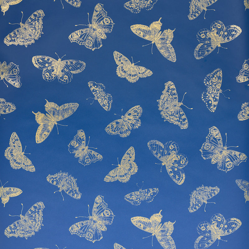 Burnell Butterfly wallpaper in blue color - pattern number 5011741 - by Schumacher in the Misterioso collection