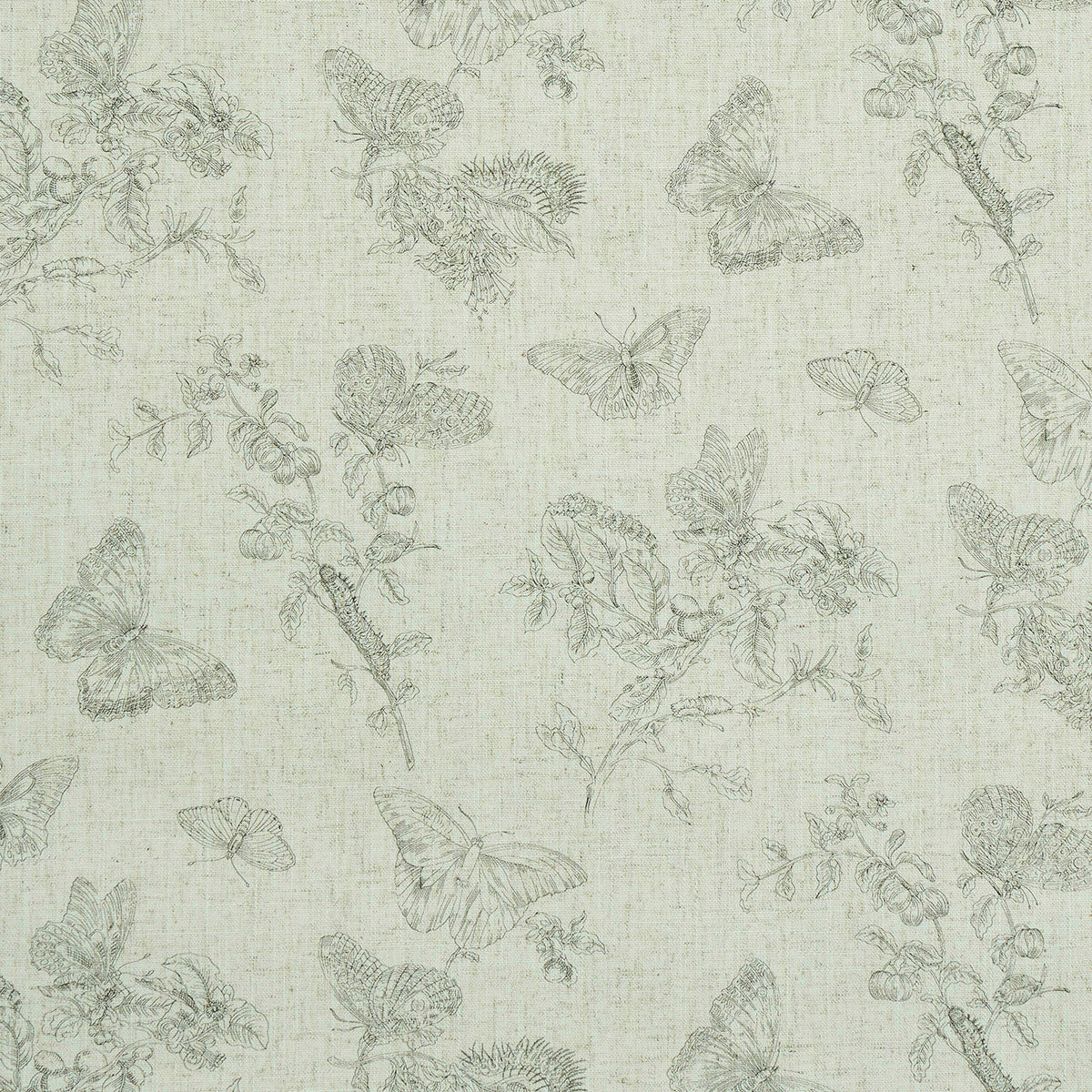 Baudin Butterfly Linen fabric in black color - pattern number 5011830 - by Schumacher in the Perennial Favorites collection