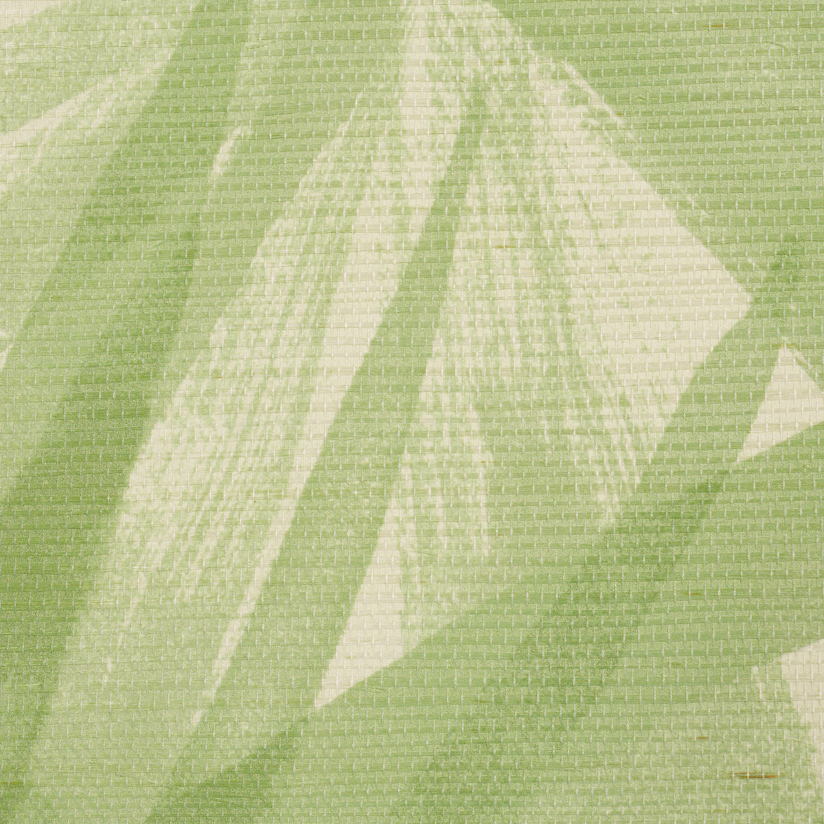 Sunlit Palm Sisal Wallpaper in pistachio color - pattern number 5012042 - by Schumacher in the Perennial Favorites collection