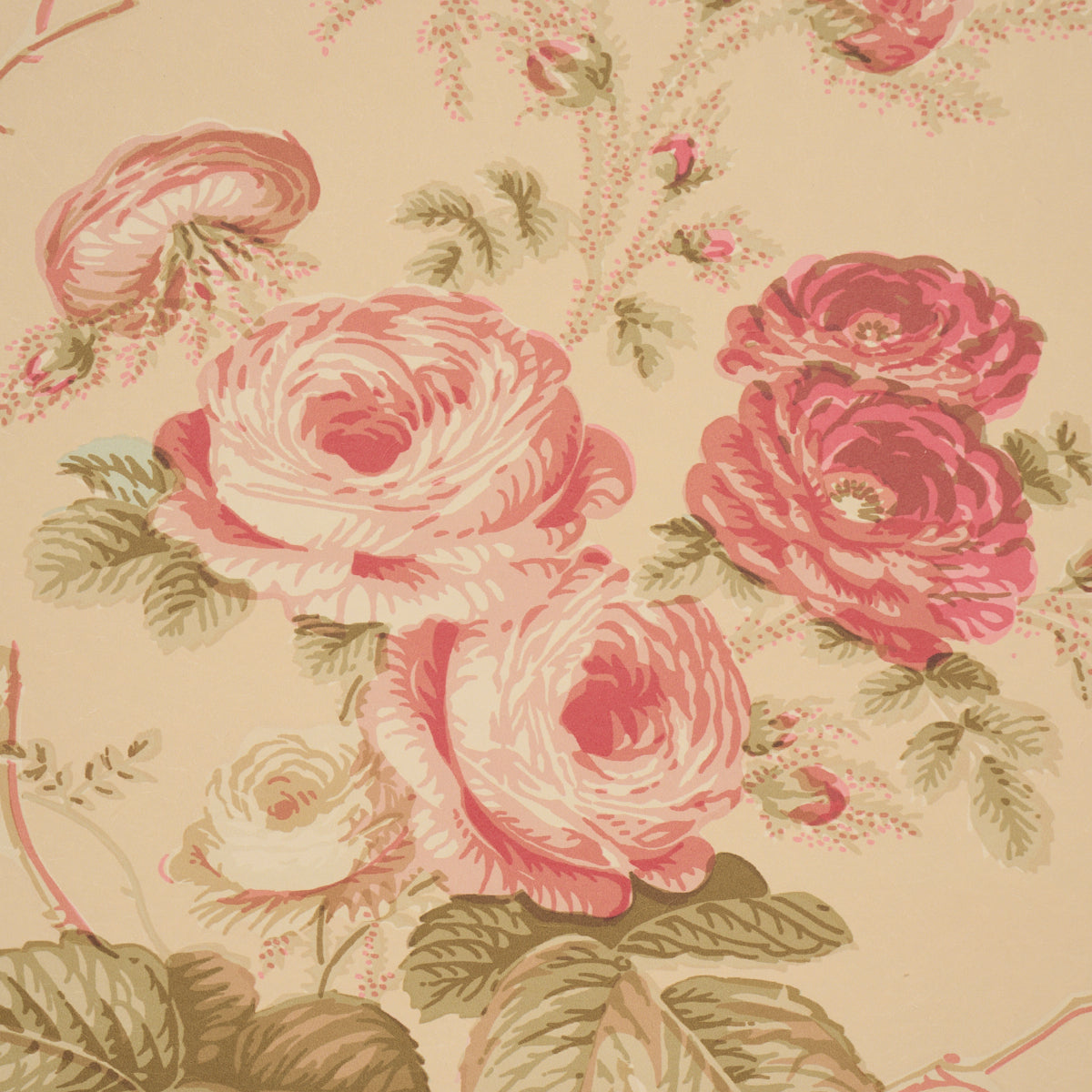 Salisbury Wallpaper in Butter color - pattern number 5012063 - by Schumacher in the Schumacher Classics collection