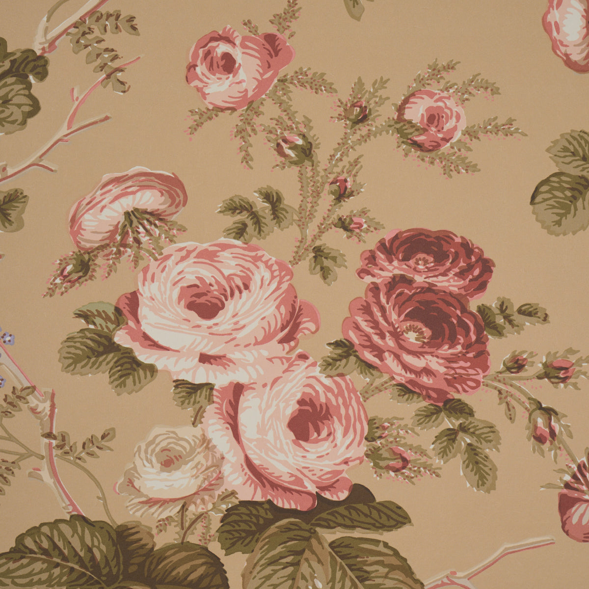 Salisbury Wallpaper in Tobacco color - pattern number 5012064 - by Schumacher in the Schumacher Classics collection
