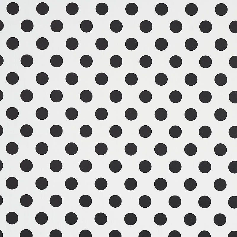 Lady fabric in black and white color - pattern number 5012610 - by Schumacher in the Cristina Buckley collection