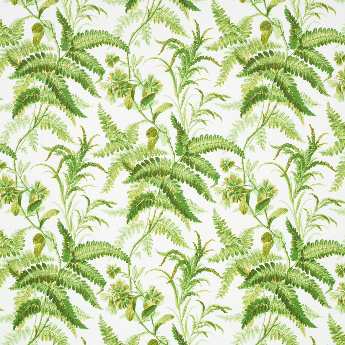 Myers Fern wallpaper in tropical color - pattern number 5013231 - by Schumacher in the Schumacher Classics collection