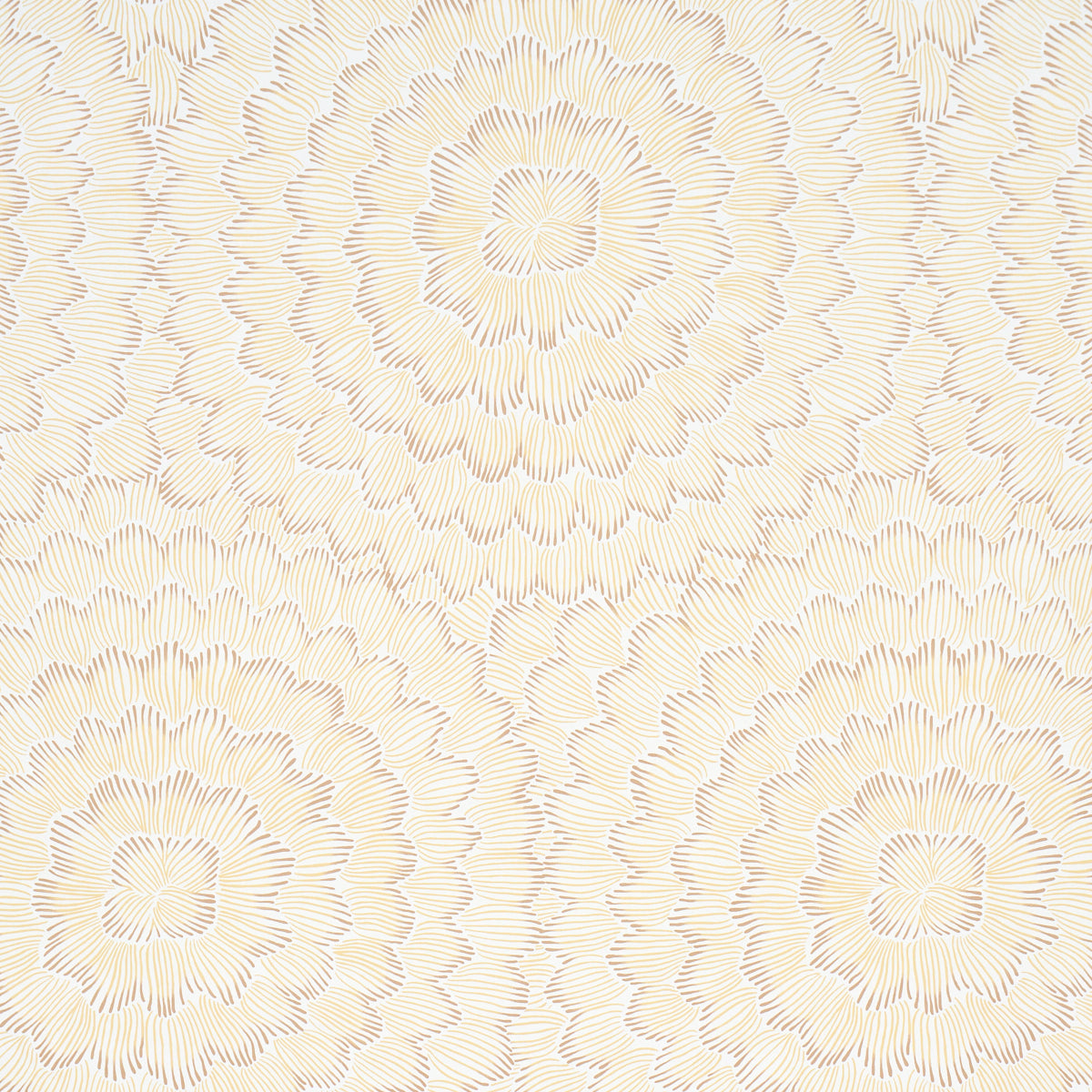 Feather Bloom Wallpaper in Mustard color - pattern number 5013825 - by Schumacher in the Perennial Favorites collection