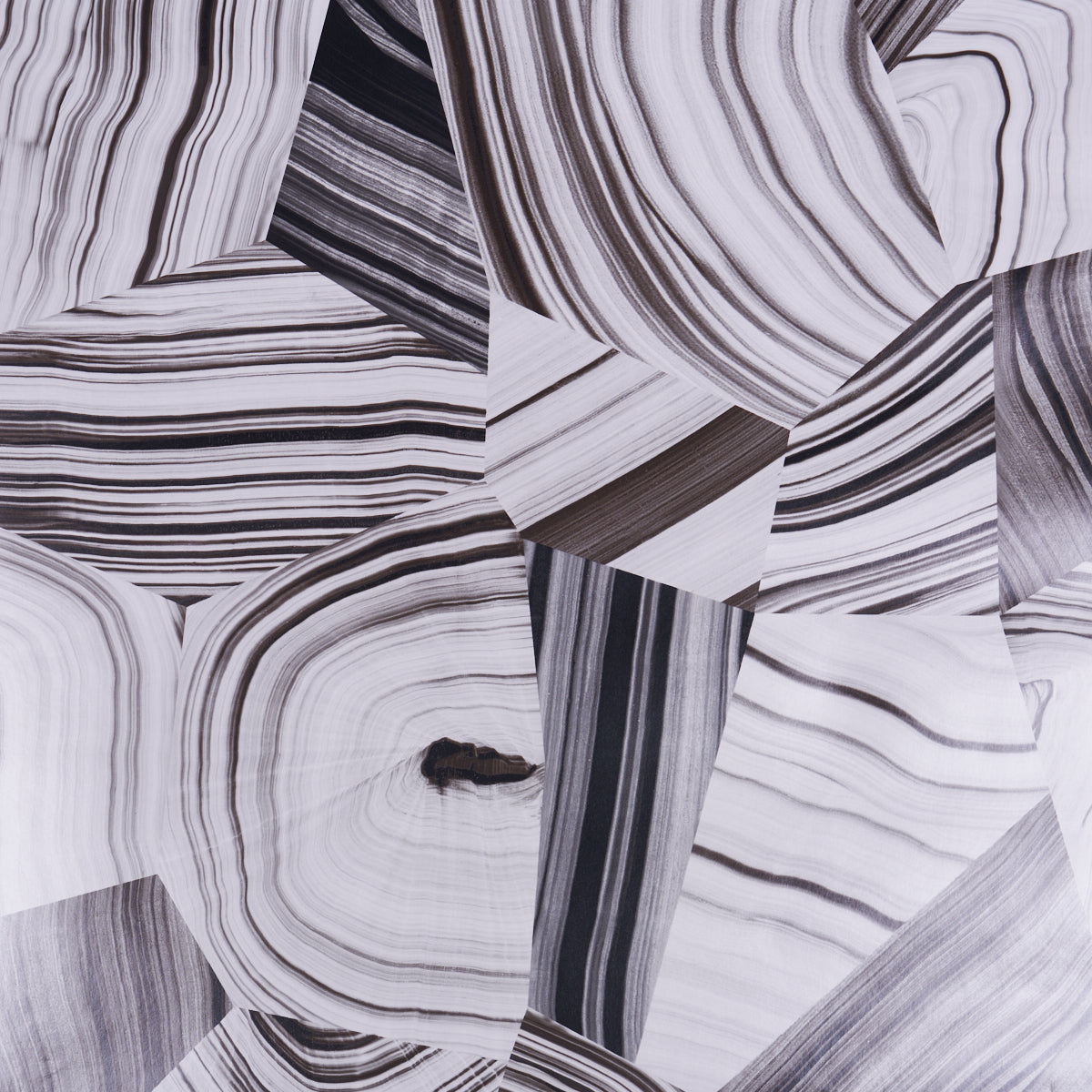 Agate Slice fabric in black and white color - pattern number 5013890 - by Schumacher in the Miles Redd collection