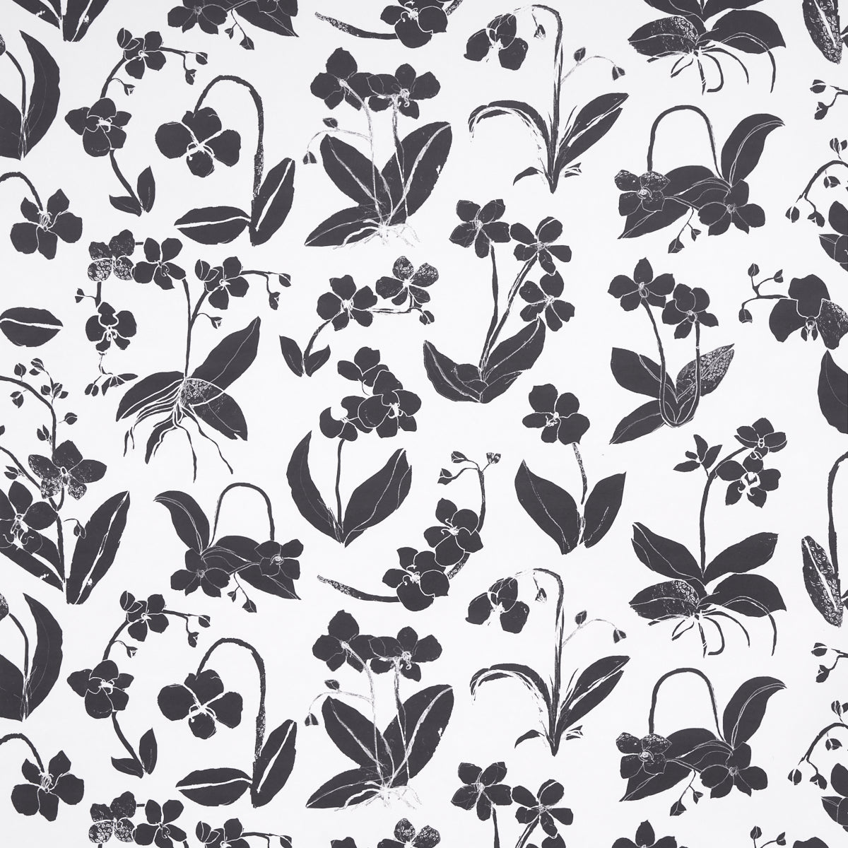 Orchids Have Dreams wallpaper in soft black color - pattern number 5014100 - by Schumacher in the Hera Ford collection