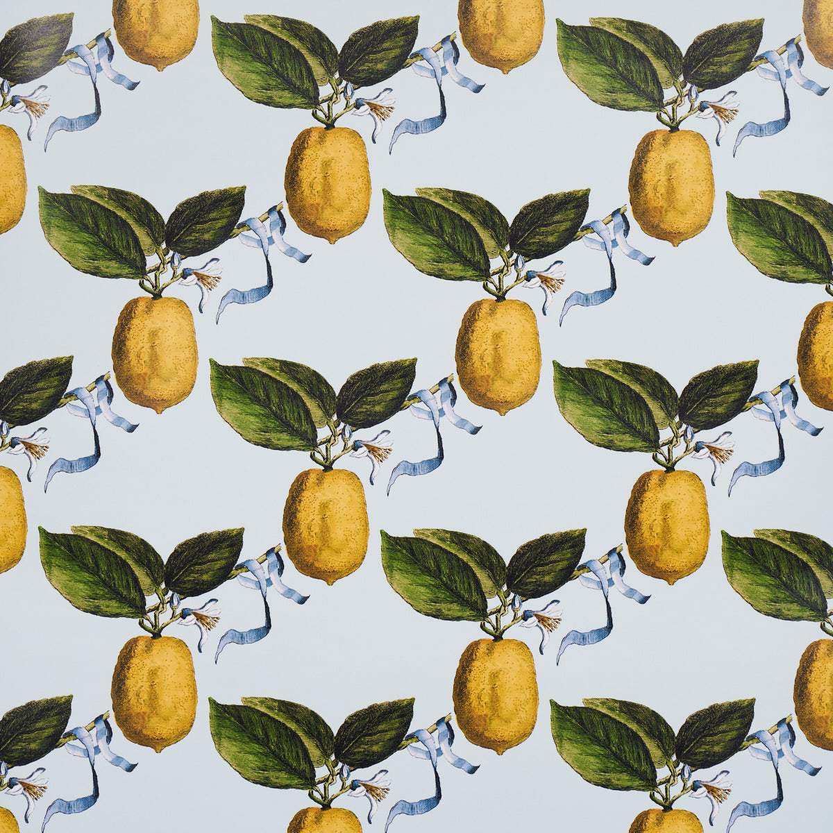 Le Citron wallpaper in sky color - pattern number 5014281 - by Schumacher in the Johnson Hartig for Libertine collection