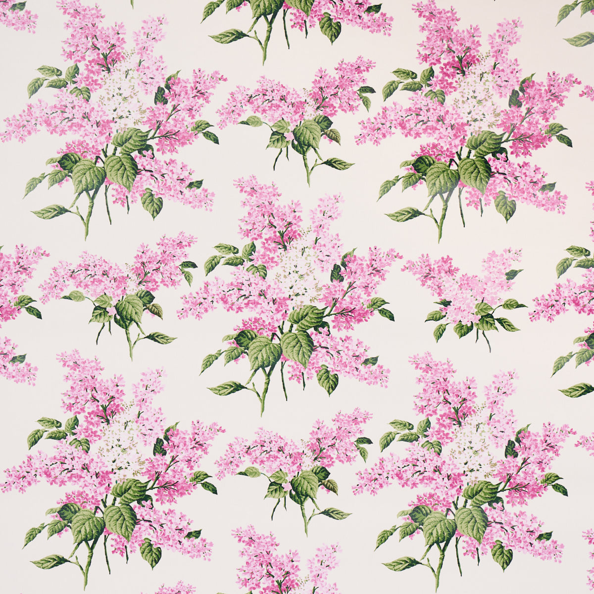 Prousts Lilacs wallpaper in pink color - pattern number 5014312 - by Schumacher in the Johnson Hartig for Libertine collection