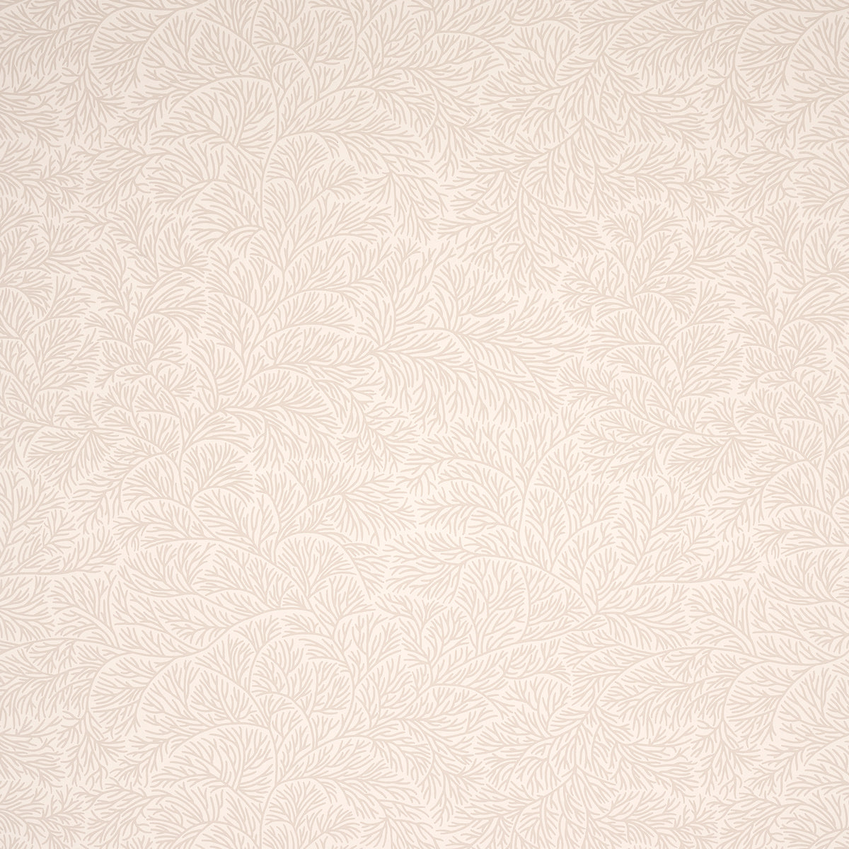 Bougainvillea wallpaper in neutral color - pattern number 5014332 - by Schumacher in the Mark D Sikes collection