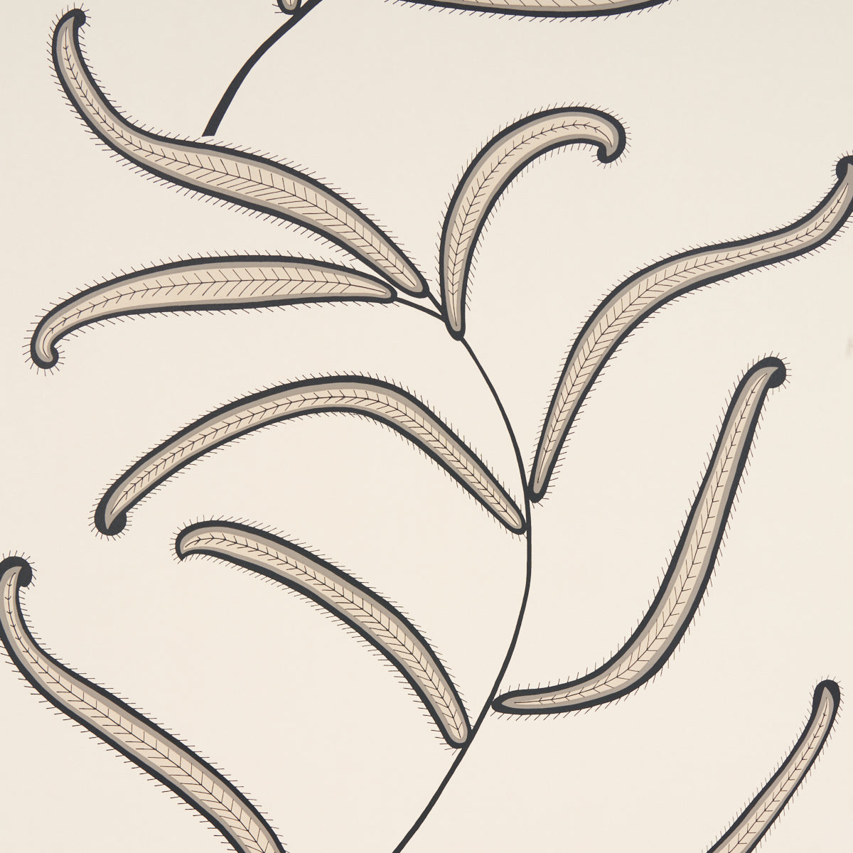 Caterpillar Leaf wallpaper in black and cream color - pattern number 5014530 - by Schumacher in the Espalier by Neisha Crosland collection