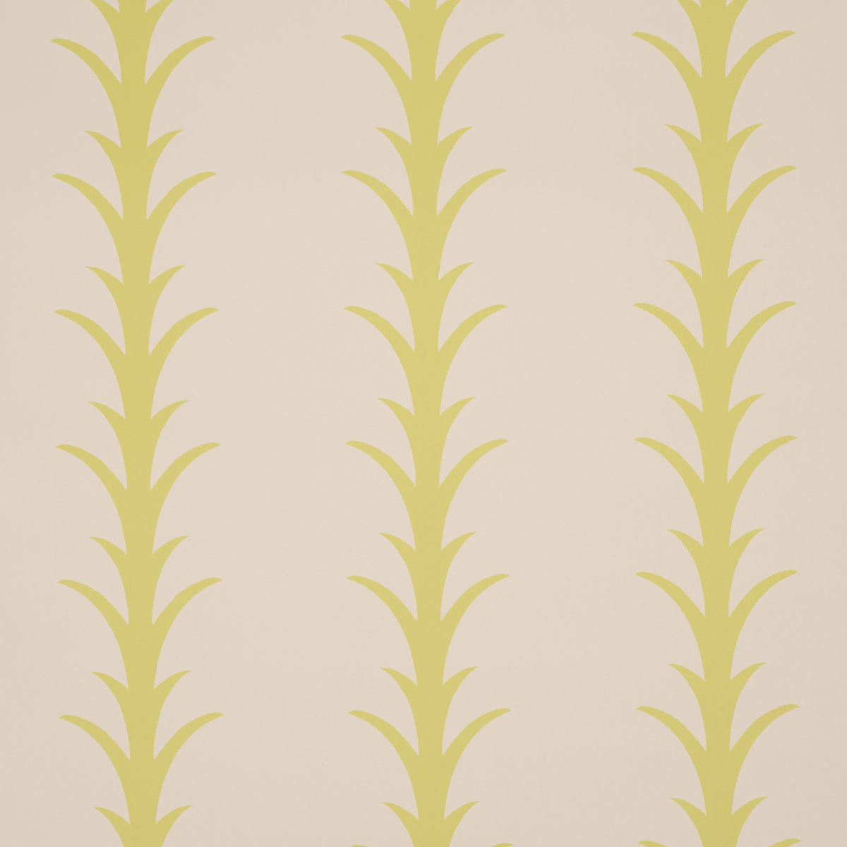 Acanthus Stripe Wallpaper in soleil on sand color - pattern number 5014775 - by Schumacher in the Atelier Paris collection