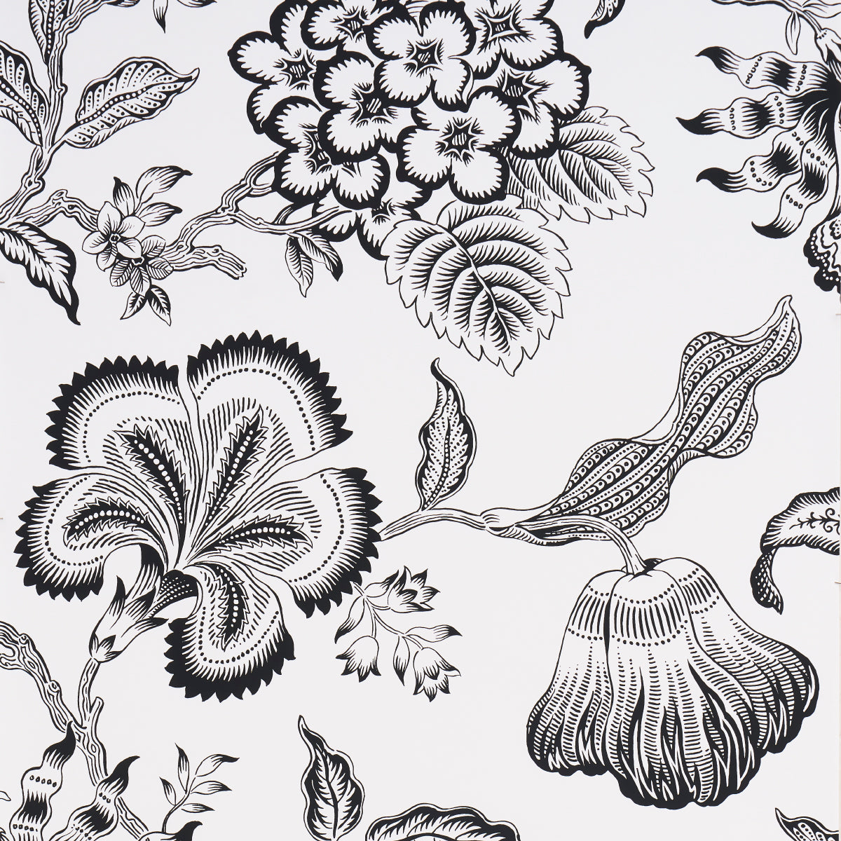 Hothouse Flowers Silhouette wallpaper in black and white color - pattern number 5015323 - by Schumacher in the Celerie Kemble collection