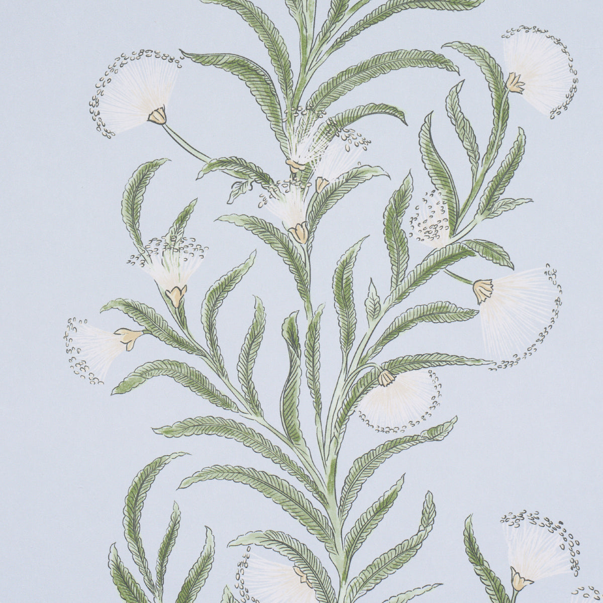 Tasmanian Mimosa Wallpaper in Sky color - pattern number 5015363 - by Schumacher in the Perennial Favorites collection