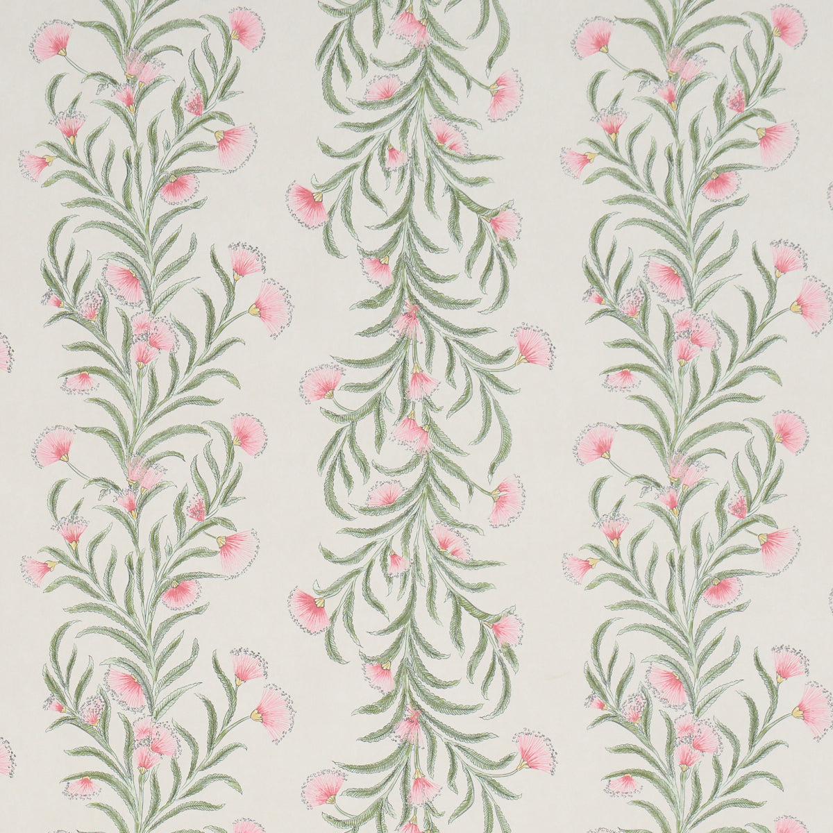 Tasmanian Mimosa Wallpaper in Petal color - pattern number 5015364 - by Schumacher in the Perennial Favorites collection
