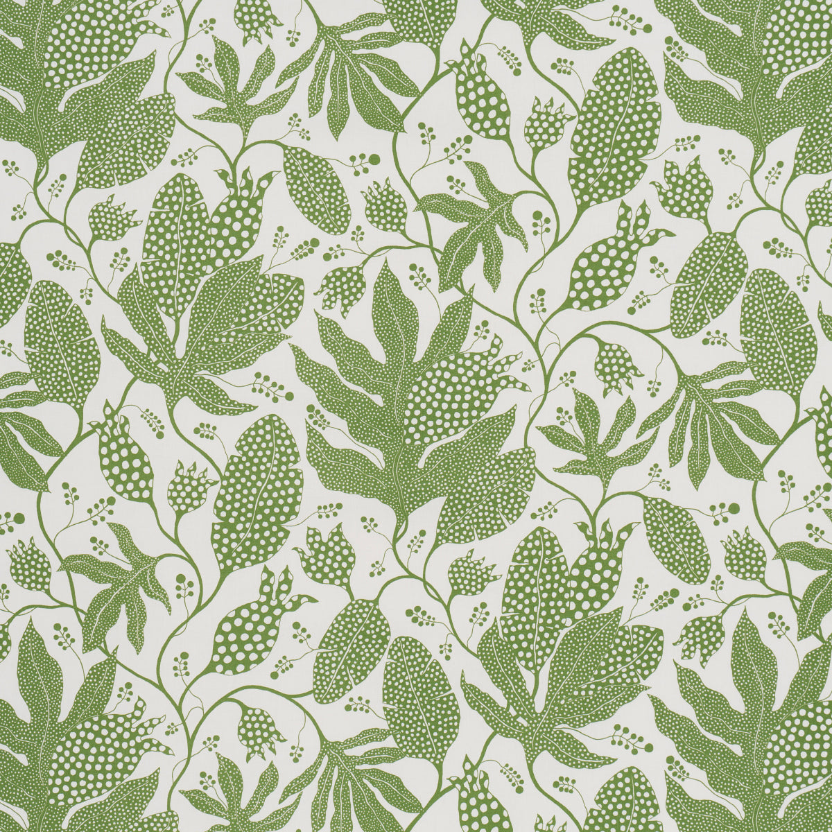 Polka Dot Jungle fabric in green and ivory color - pattern number 5015463 - by Schumacher in the Marian Mcevoy collection
