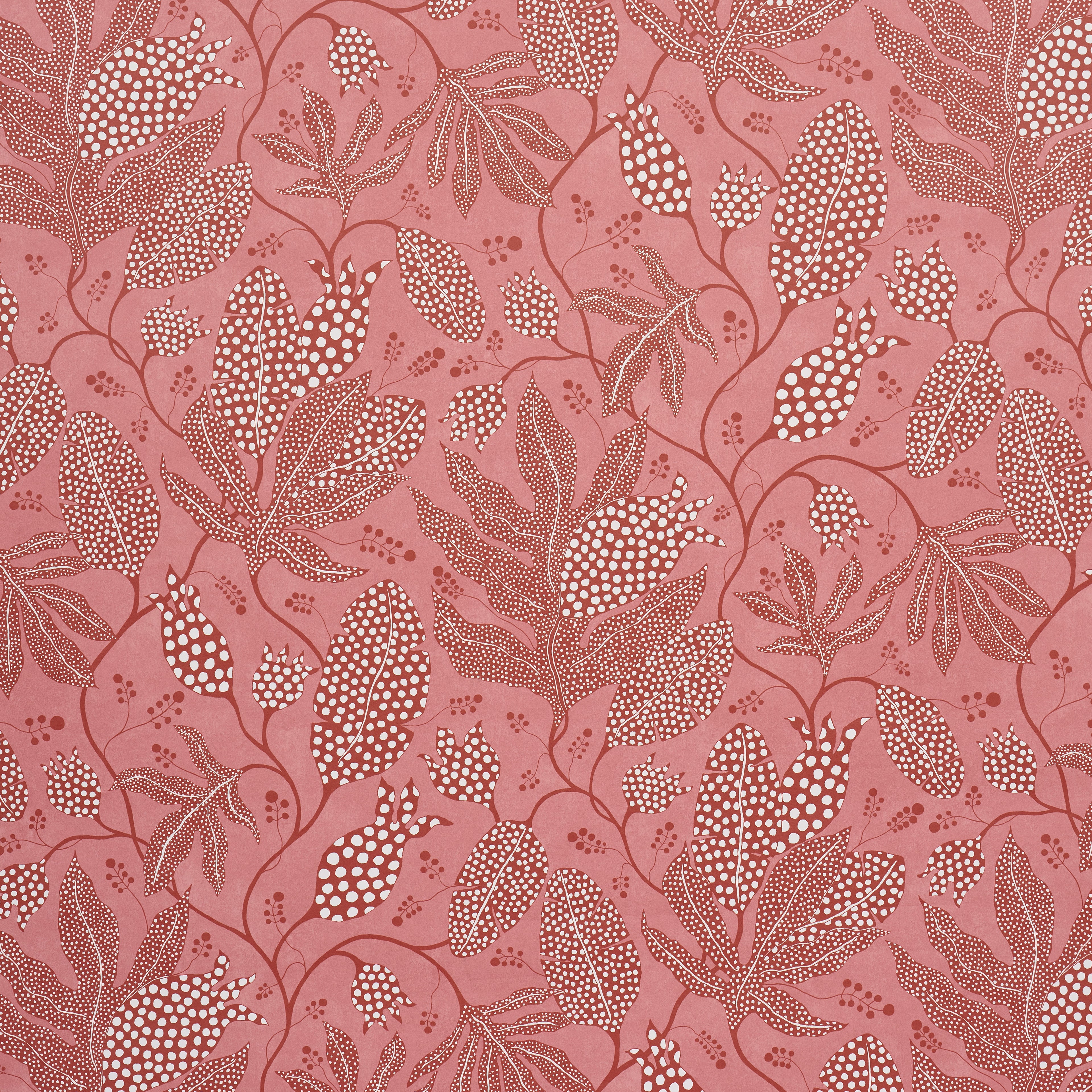 Polka Dot Jungle Wallpaper in raspberry color - pattern number 5015466 - by Schumacher in the Atelier Paris collection