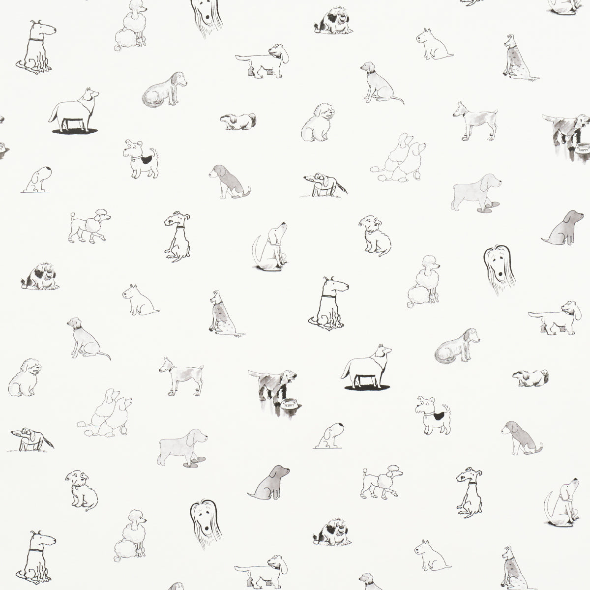 Good Dogs Everywhere fabric in black and white color - pattern number 5016130 - by Schumacher in the The New Yorker collection