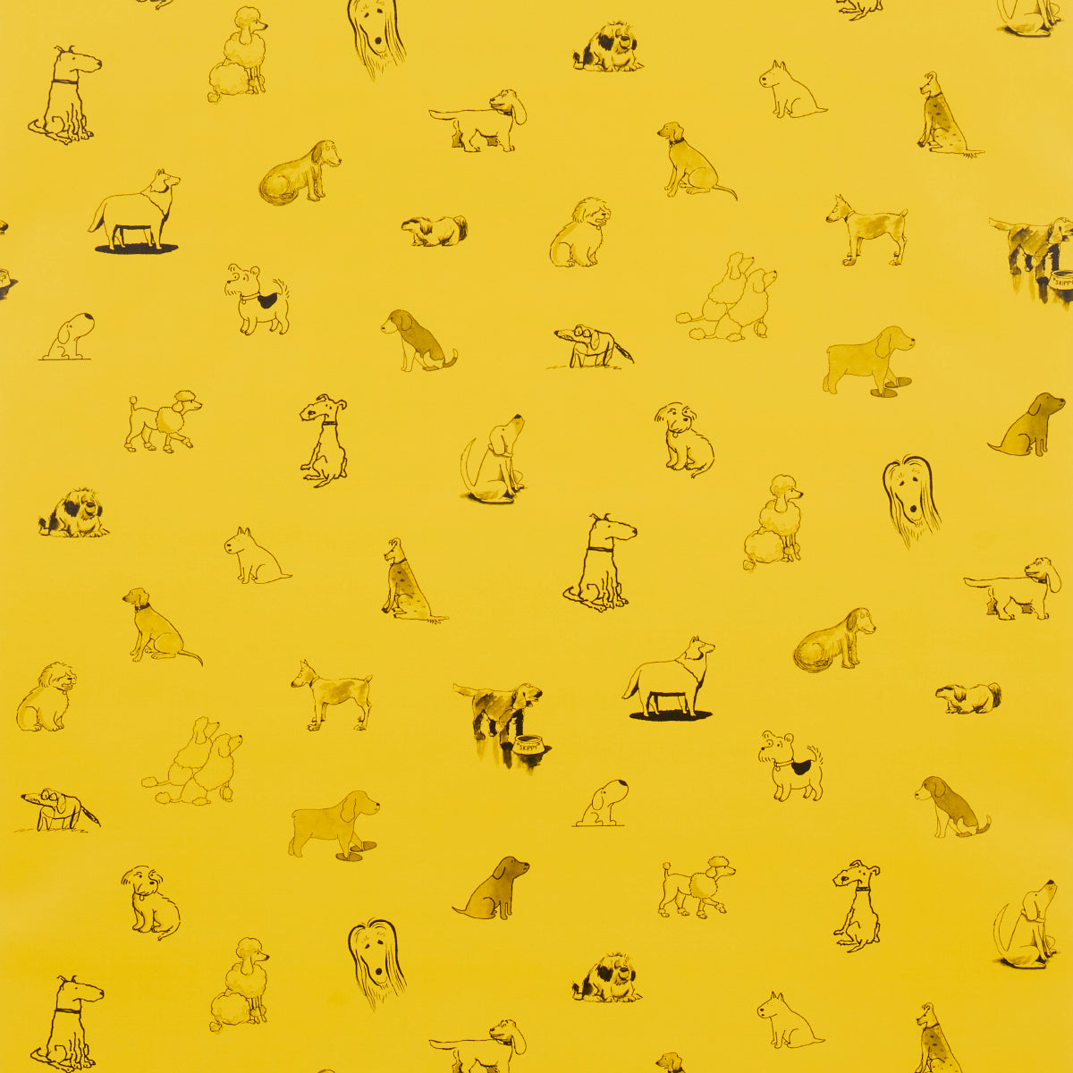 Good Dogs Everywhere fabric in taxi cab yellow color - pattern number 5016131 - by Schumacher in the The New Yorker collection