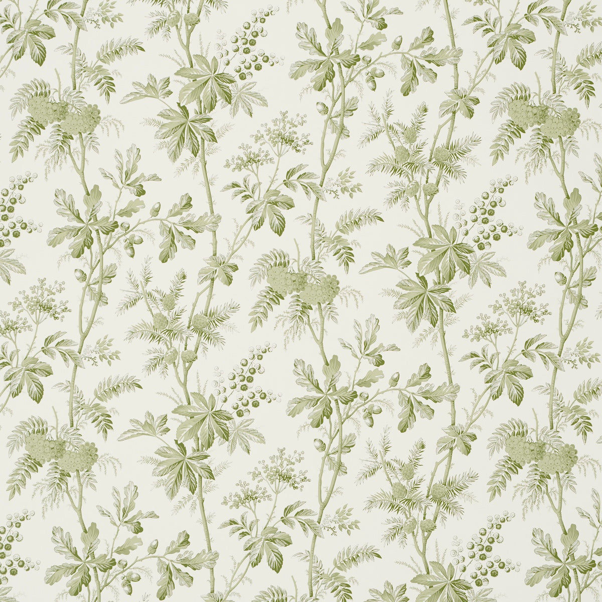Brantwood Vine fabric in leaf color - pattern number 5016350 - by Schumacher in the A Country Life collection