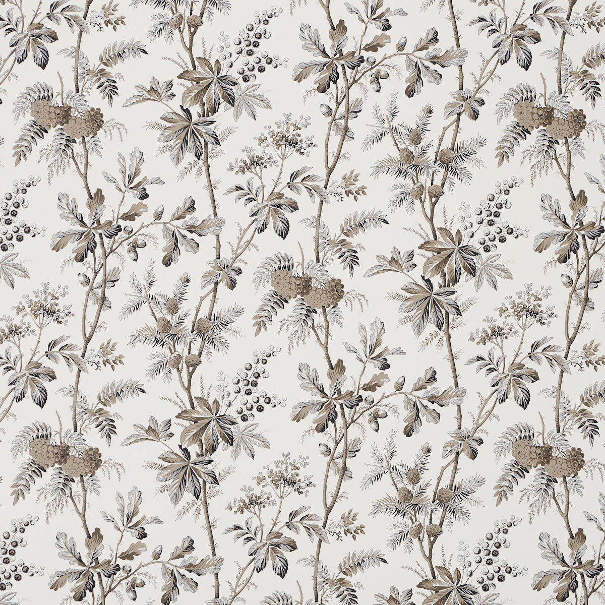 Brantwood Vine fabric in graphite color - pattern number 5016352 - by Schumacher in the A Country Life collection
