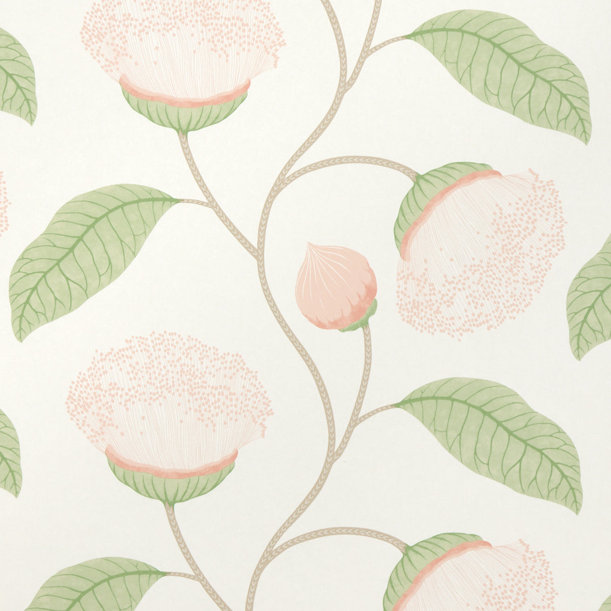 Celinda wallpaper in blush color - pattern number 5016360 - by Schumacher in the A Love Affair collection