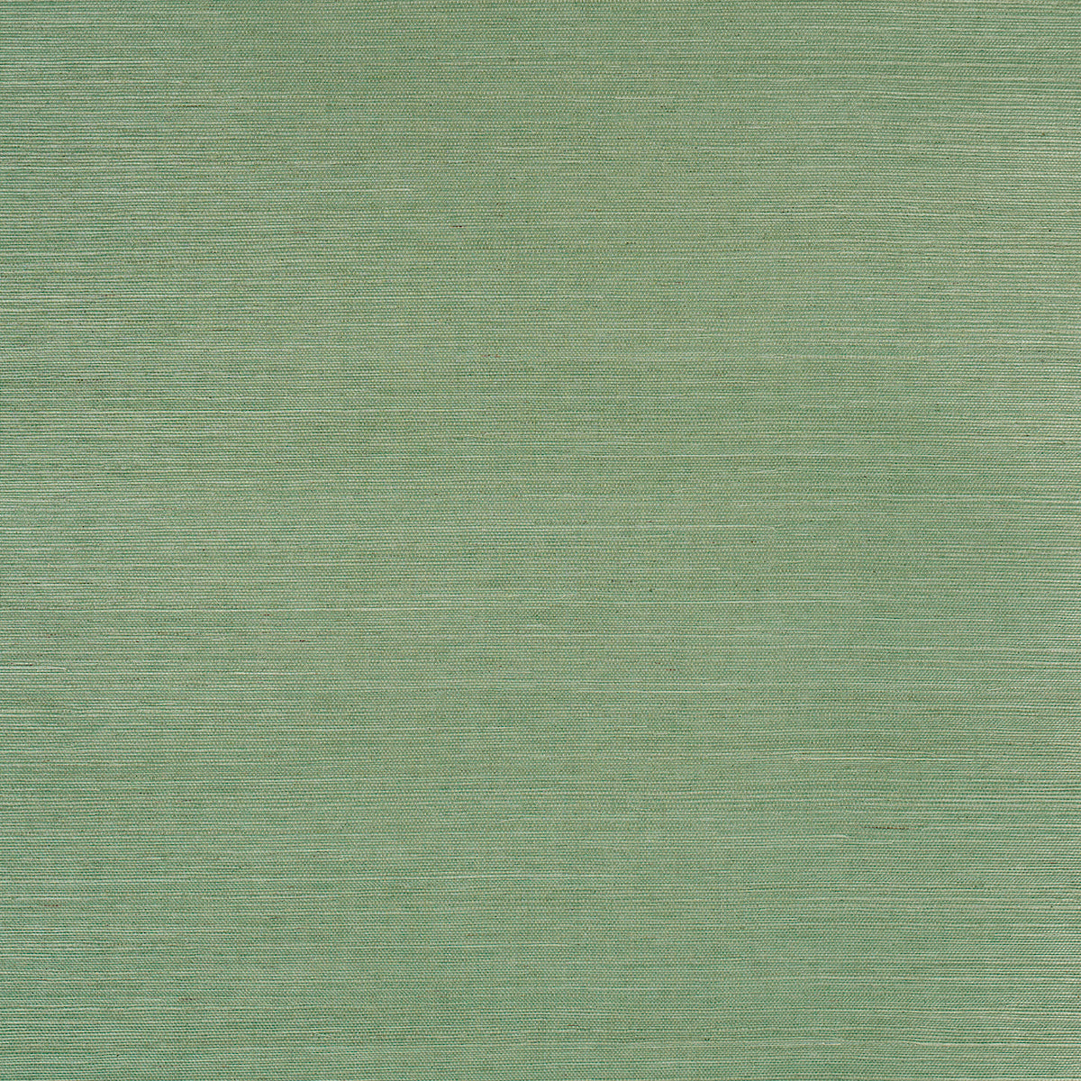 Haruki Sisal Wallpaper in drive thru safari color - pattern number 5016854 - by Schumacher in the Backdrop I collection