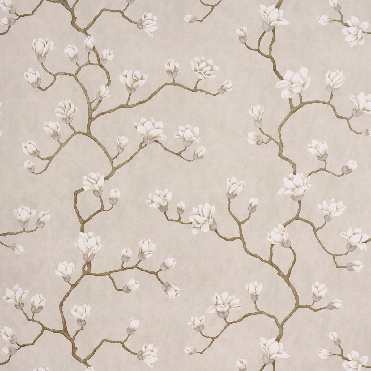 Magnolia Tree wallpaper in grisaille color - pattern number 5016931 - by Schumacher in the Botanical Garden collection
