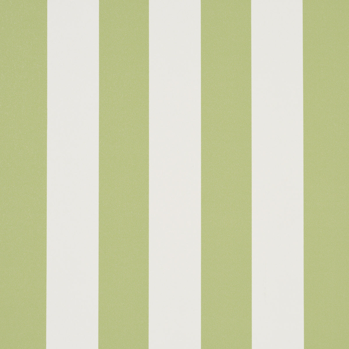 Emma Stripe wallpaper in leaf color - pattern number 5017215 - by Schumacher in the Perennial Favorites collection