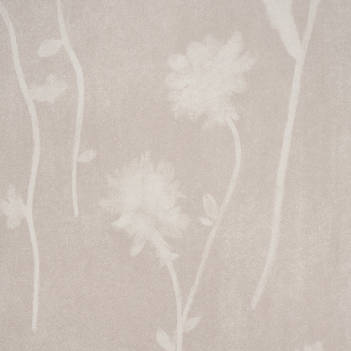 Before Midnight Wallpaper in light beige color - pattern number 5017362 - by Schumacher in the Backdrop I collection
