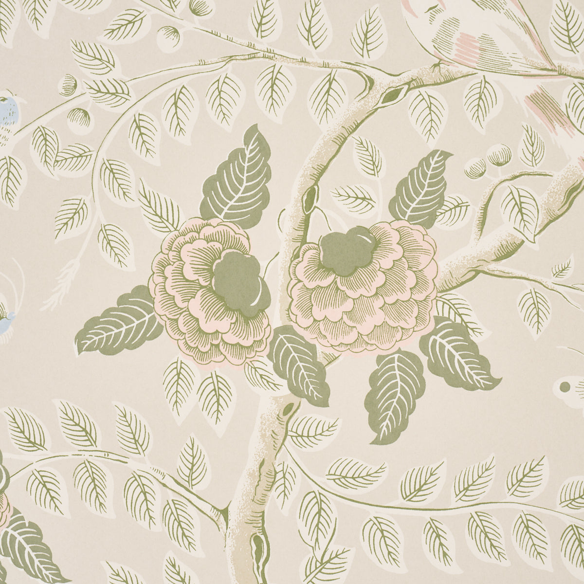 Tole Bird Wallpaper in petal color - pattern number 5017541 - by Schumacher in the Schumacher Classics collection