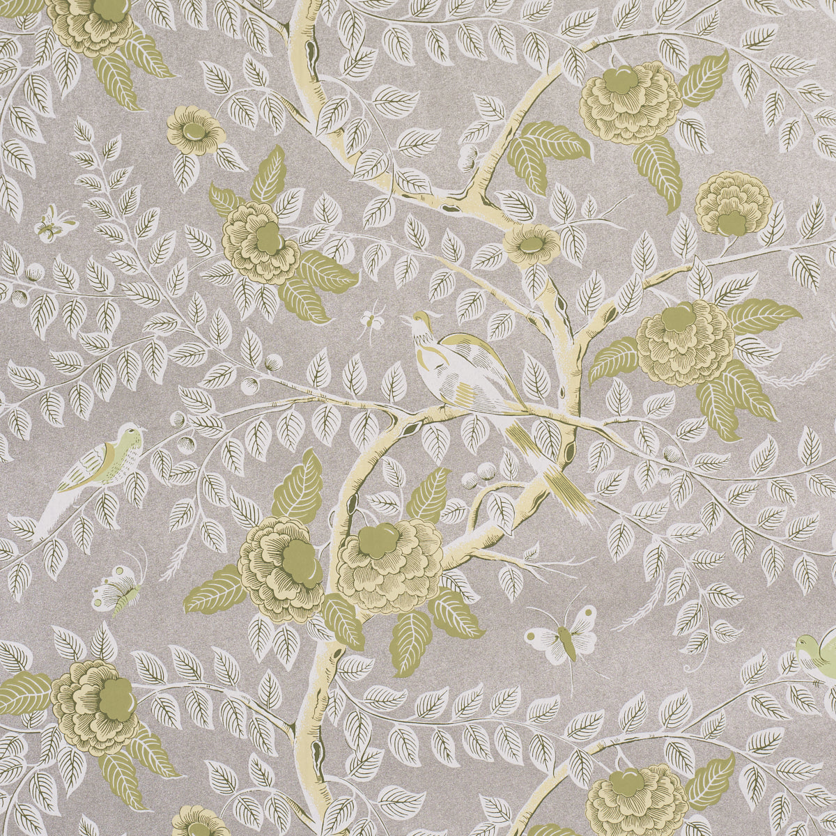 Tole Bird Wallpaper in spring color - pattern number 5017542 - by Schumacher in the Schumacher Classics collection